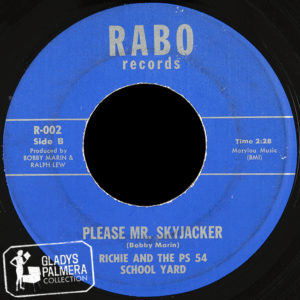 8.-Richie-And-The-PS-54-School-Yard-Mr.-Skyjacker-300x300